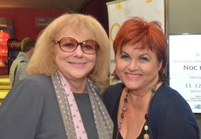 Talkshow s Ivou Hüttnerovou a Hanou Křížkovou / pro knihovníky