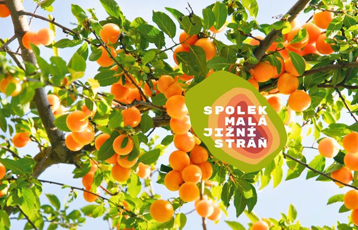 Malá jižní stráň – Peckoviny / přednáška s diskuzí