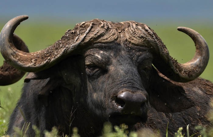 Tanzánie – hakuna matata – Tomáš Kravka / cestovatelská přednáška