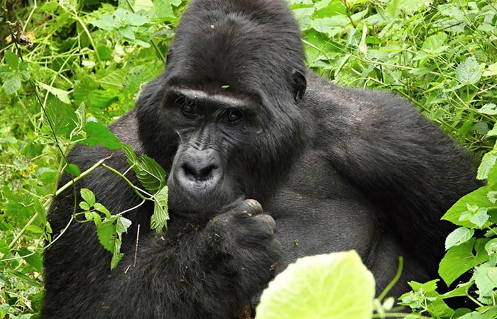 Uganda – perla Afriky – Tomáš Kravka / cestovatelská přednáška