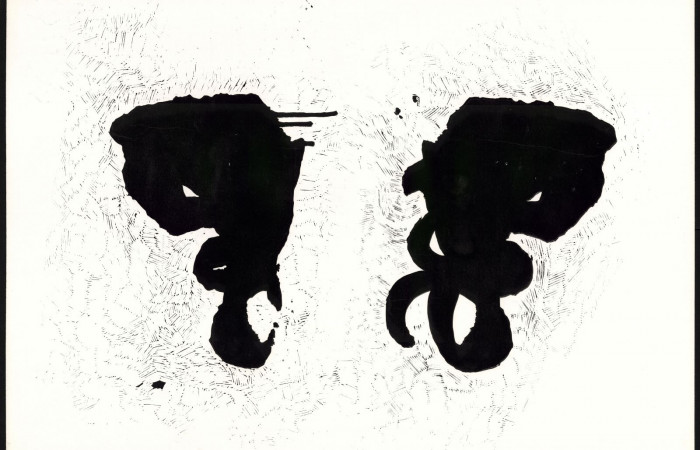 adela-skoupa-linoryty-a-jine-10