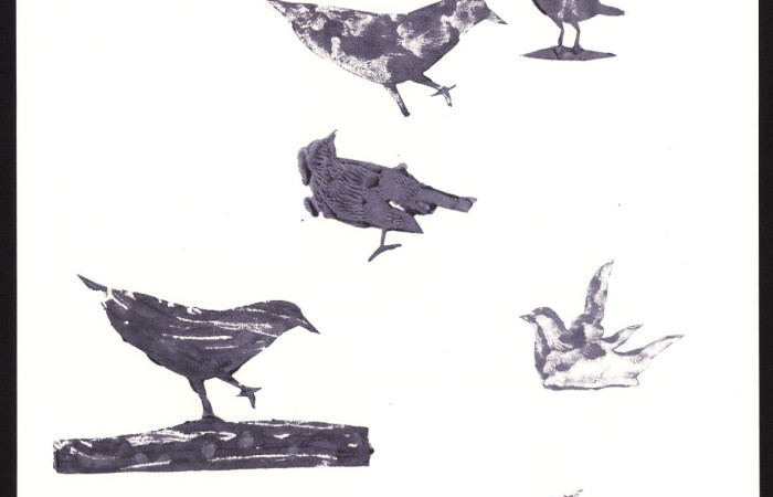 adela-skoupa-linoryty-a-jine-11